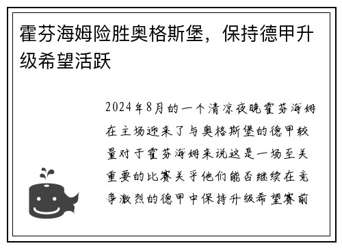 霍芬海姆险胜奥格斯堡，保持德甲升级希望活跃